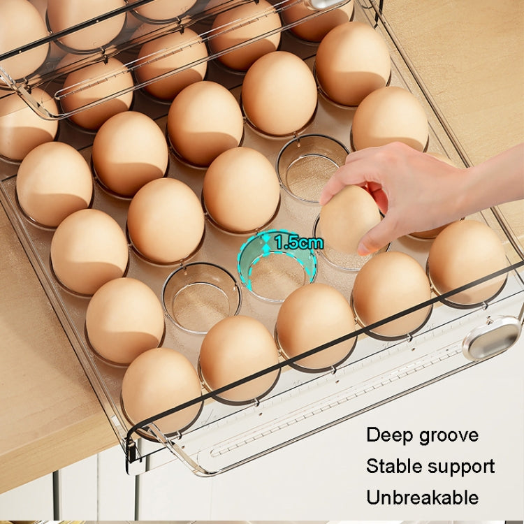 Large Single Layer 20 Grid Egg Storage Box PET Transparent Multi-Specification Egg Box by bashfashion